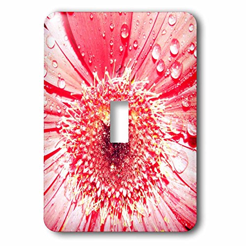 Interrupteur simple rose à bascule décoré d'une fleur de gerbera 3dRose - 2