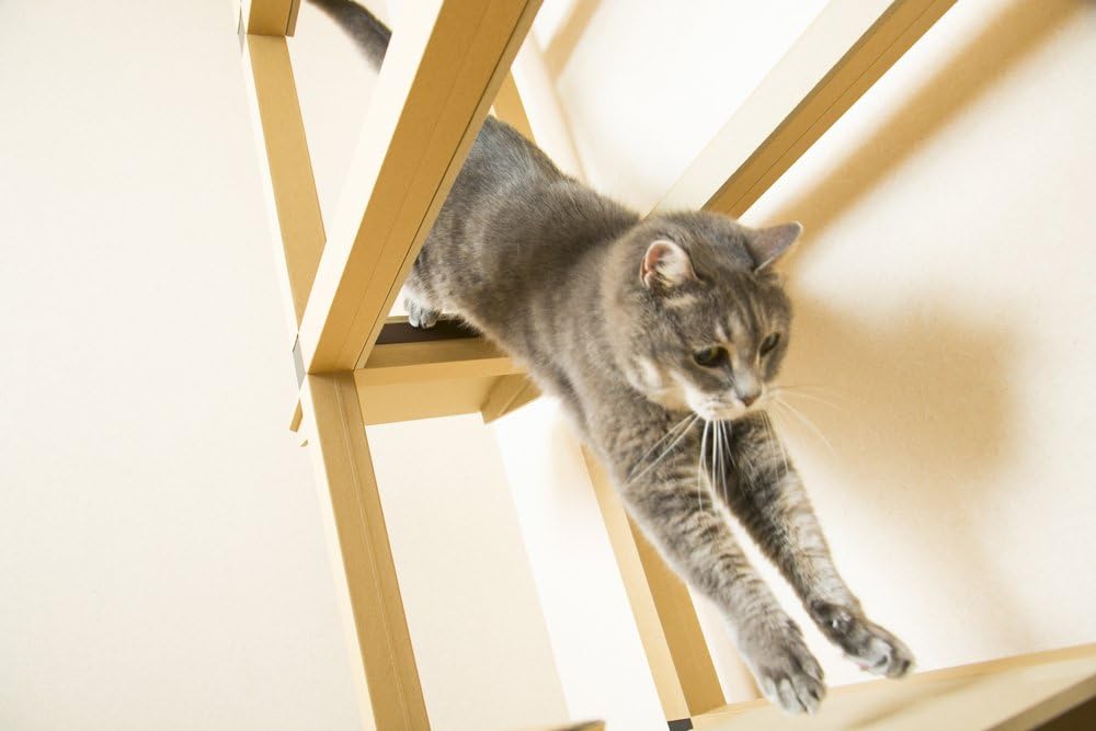 Amazon ニャンダフルシェルフ Mini Nyanderfulshelf ニャンダフルシェルフ キャットタワー 通販