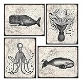 Nautical Decor, Wall Art - Vintage Octopus, Whale, Beach House Decor for Bathroom, Living Room, Bedroom, Office - Ocean, Sea Themed Decoration - Unique Rustic Gift - 8x10 UNFRAMED Poster Print