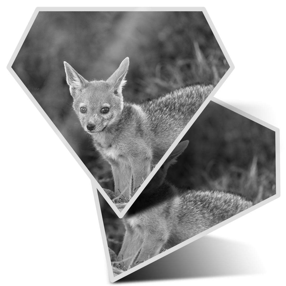 Destination Vinyl Ltd Multi 2 X 7.5Cm Diamond Stickers - Jackal Dog Wolf Coyote Puppy Decals 35335