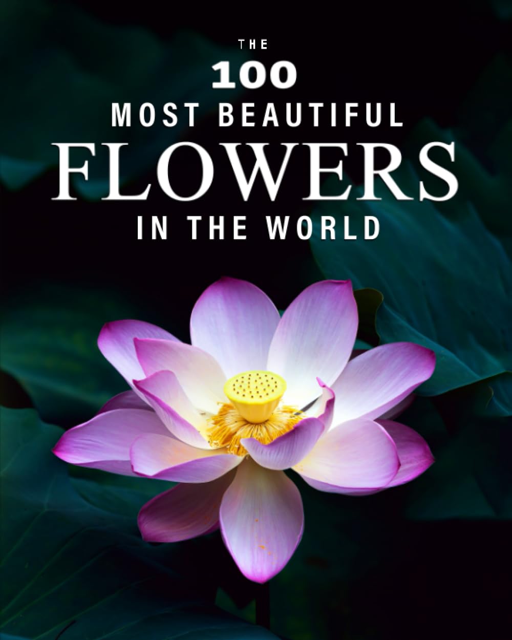 The 100 Most Beautiful Flowers in the World: A minimalist picture book for kids or seniors with alzheimer's or dementia (The "Most Beautiful World" Series)      Paperback – August 11, 2023