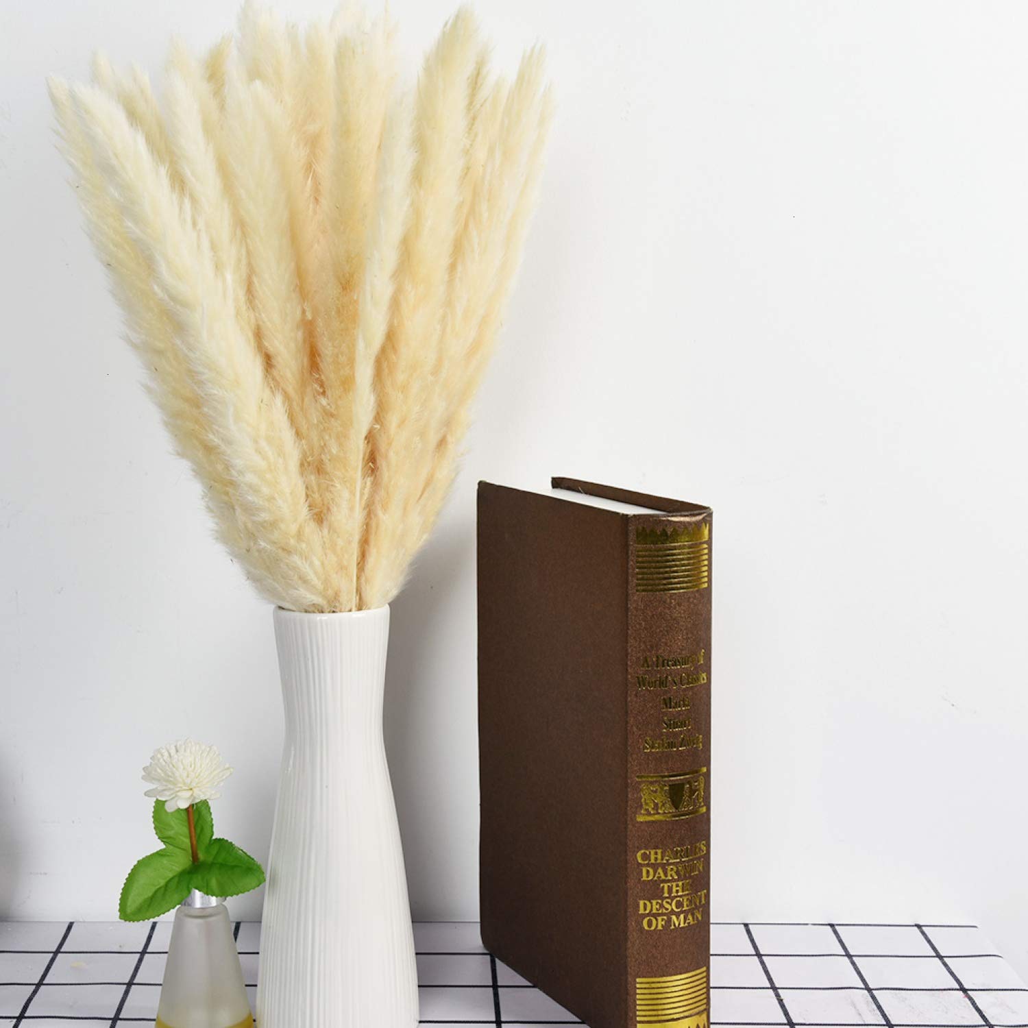 Buy Yoken 60PCS Dried Pampas Grass, Natural Dry Pampas Grass Dried Reed