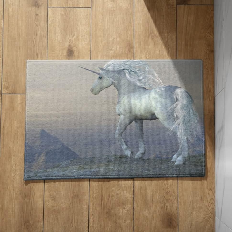 Tapis de porte intérieur antidérapant et mince contre les glissades