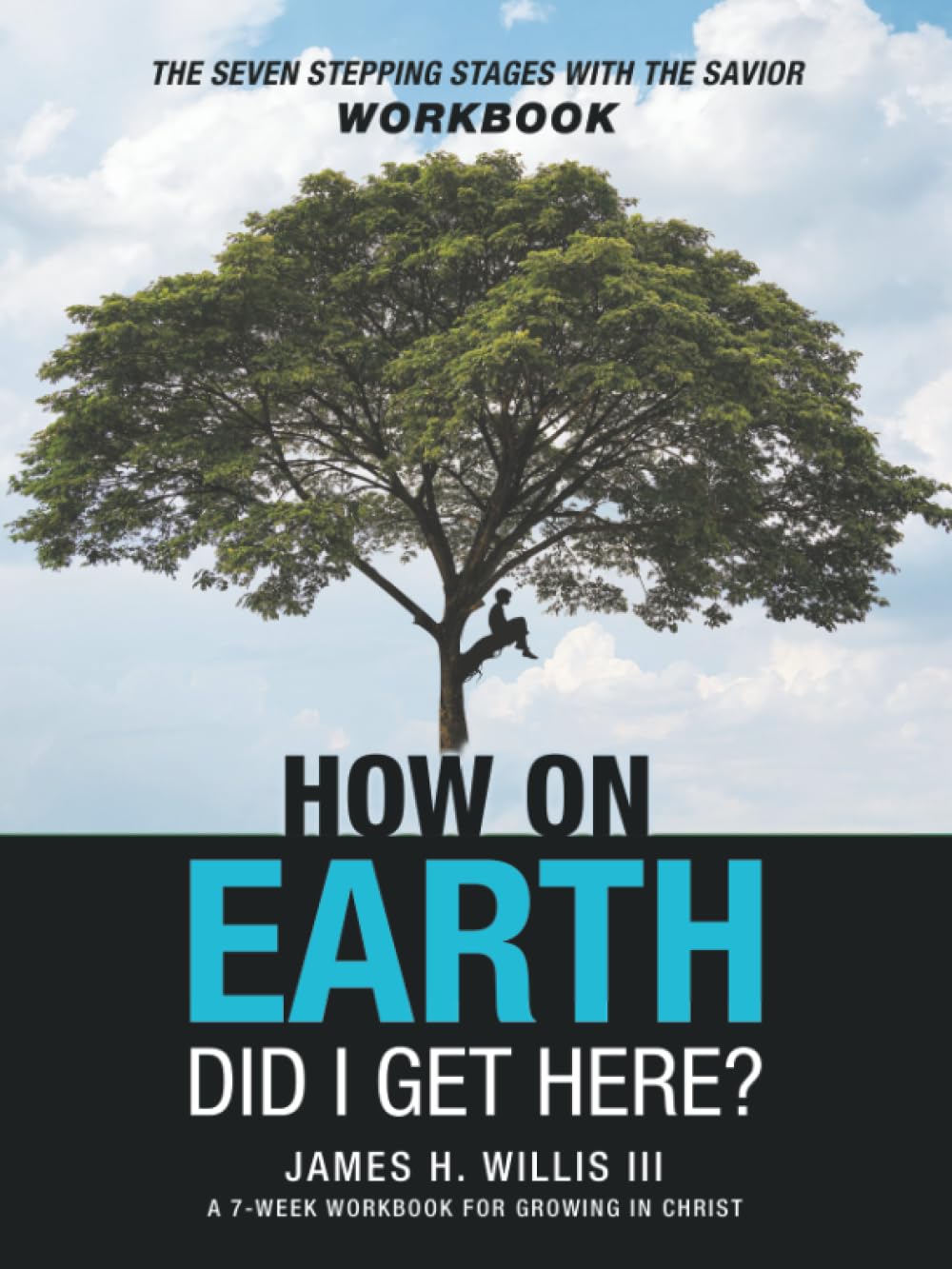 How On Earth Did I Get Here?: The Seven Stepping Stages With The Savior Workbook