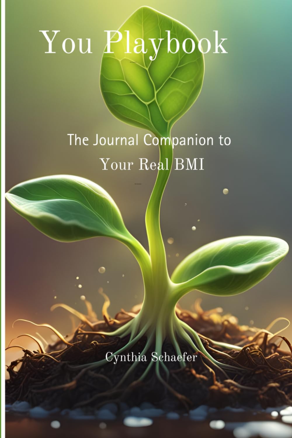 You Playbook: the companion to Your Real BMI