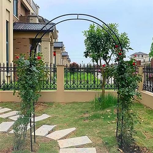 Arche pour plantes grimpantes et rosiers en métal noir L300cm