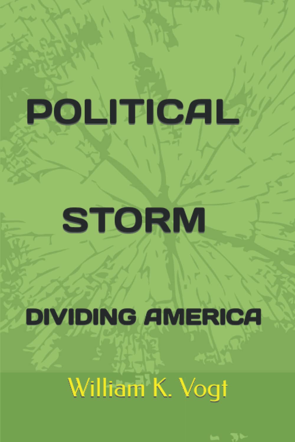 POLITICAL STORM: DIVIDING AMERICA