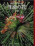 生命の花 マミ川崎フラワーデザイン作品集成
