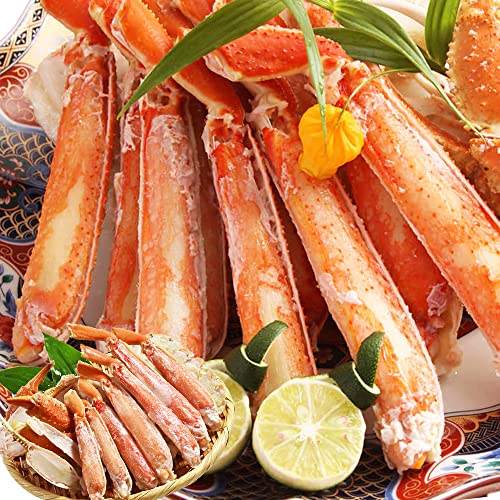 V[t[h{ {C 킢 800g~ 2~3lO ŃKj ς Jbgς n[t|[V  YC  (800g 2~3lO)