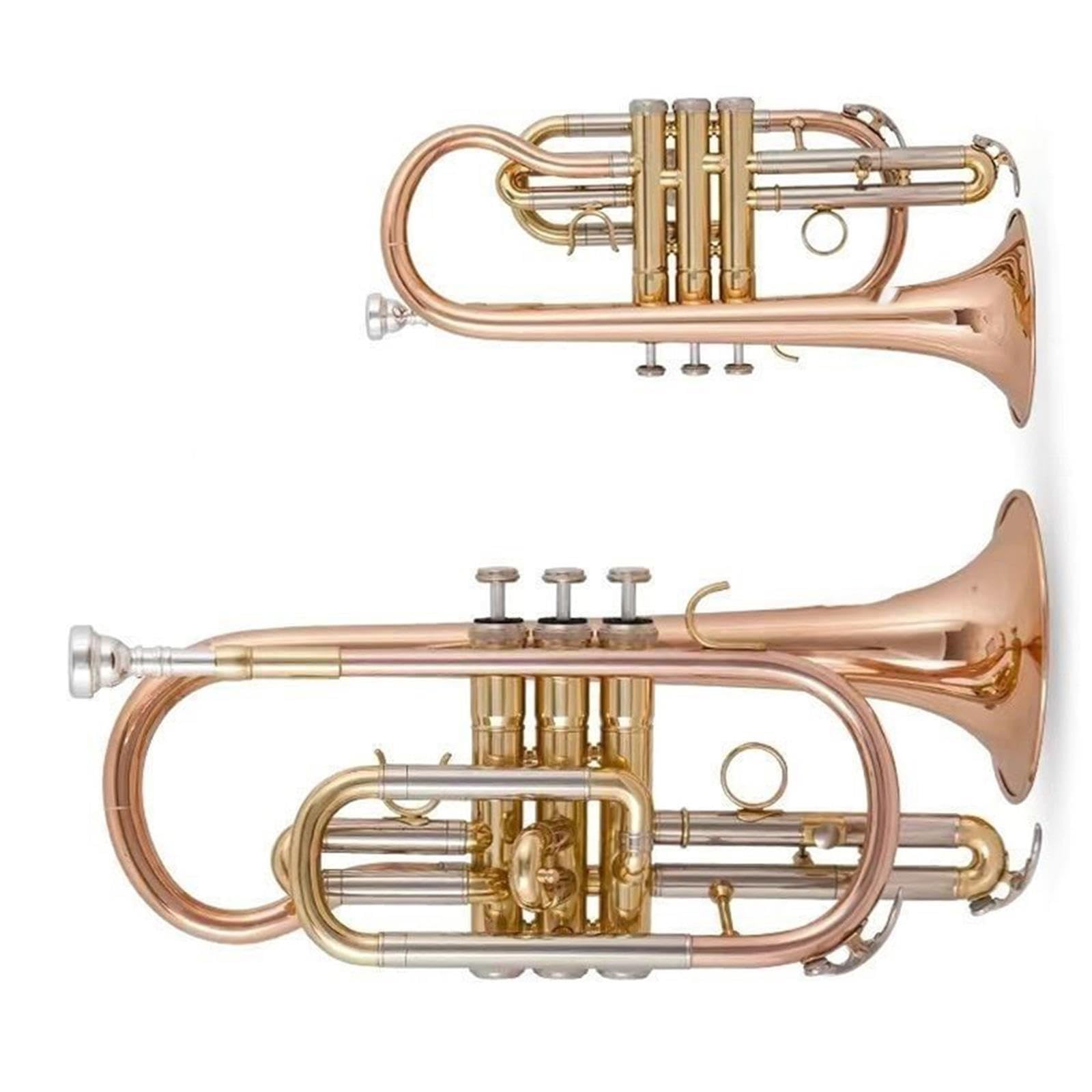 Trumpet Trompeta profesional en si bemol