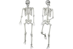 2Packs 5.4ft Halloween Posable Skeletons Realistic Life Size Human Skeleton Bones (2Pcs)