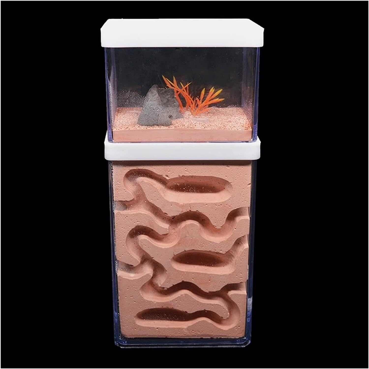 Ameisenfarm Nistkasten, Gips Ameisenfarm Natürliches Ökologisches Großes Ameisennest Insektenburg Werkstatt Haustier Ameisenhaufen Ameisenhaus Ameisenhaus(23cm)