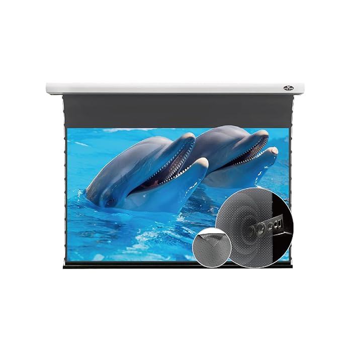 Buy VIVIDSTORMMovie Screens,Perforate Sound Transparent Obsidian Long Focus ALR Screen,Electric