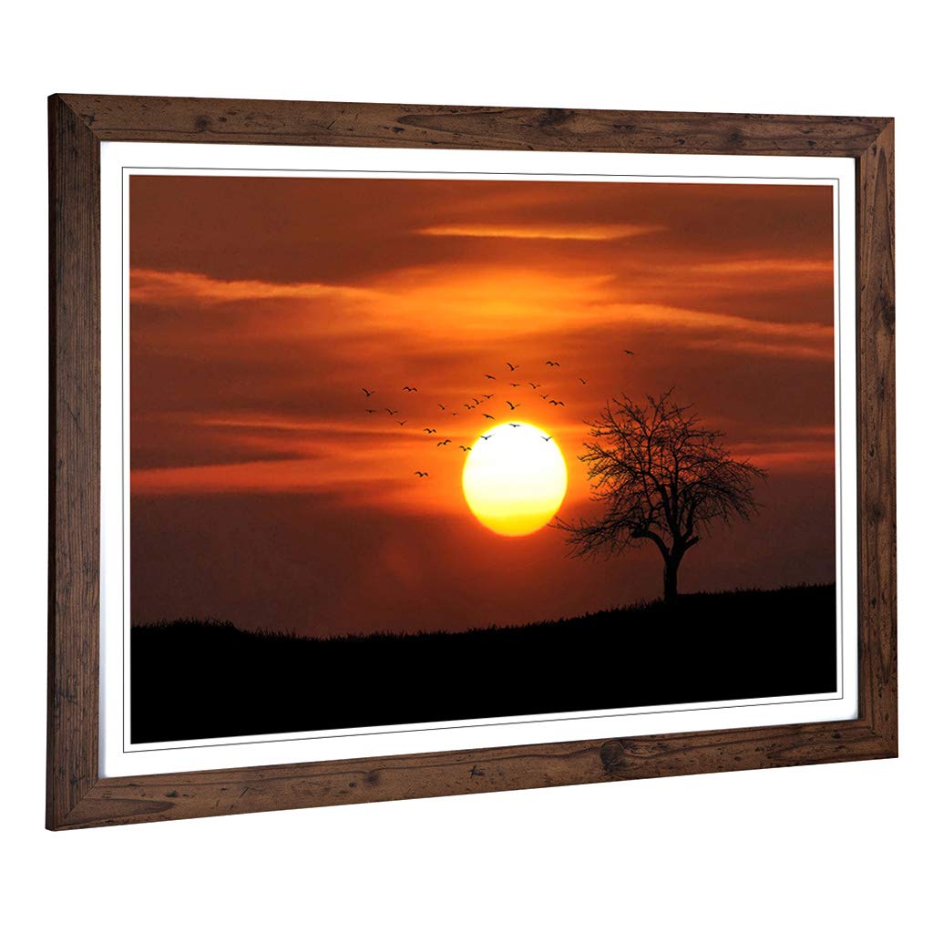 Big Box Art Framed Print of Lone Tree Sunset and Birds Design | Wall Art Picture | Home Decor for Kitchen, Living, Dining Room, Bedroom, Hallway, Office, Walnut, A2 / 24.5x18 Inch / 62x45cm