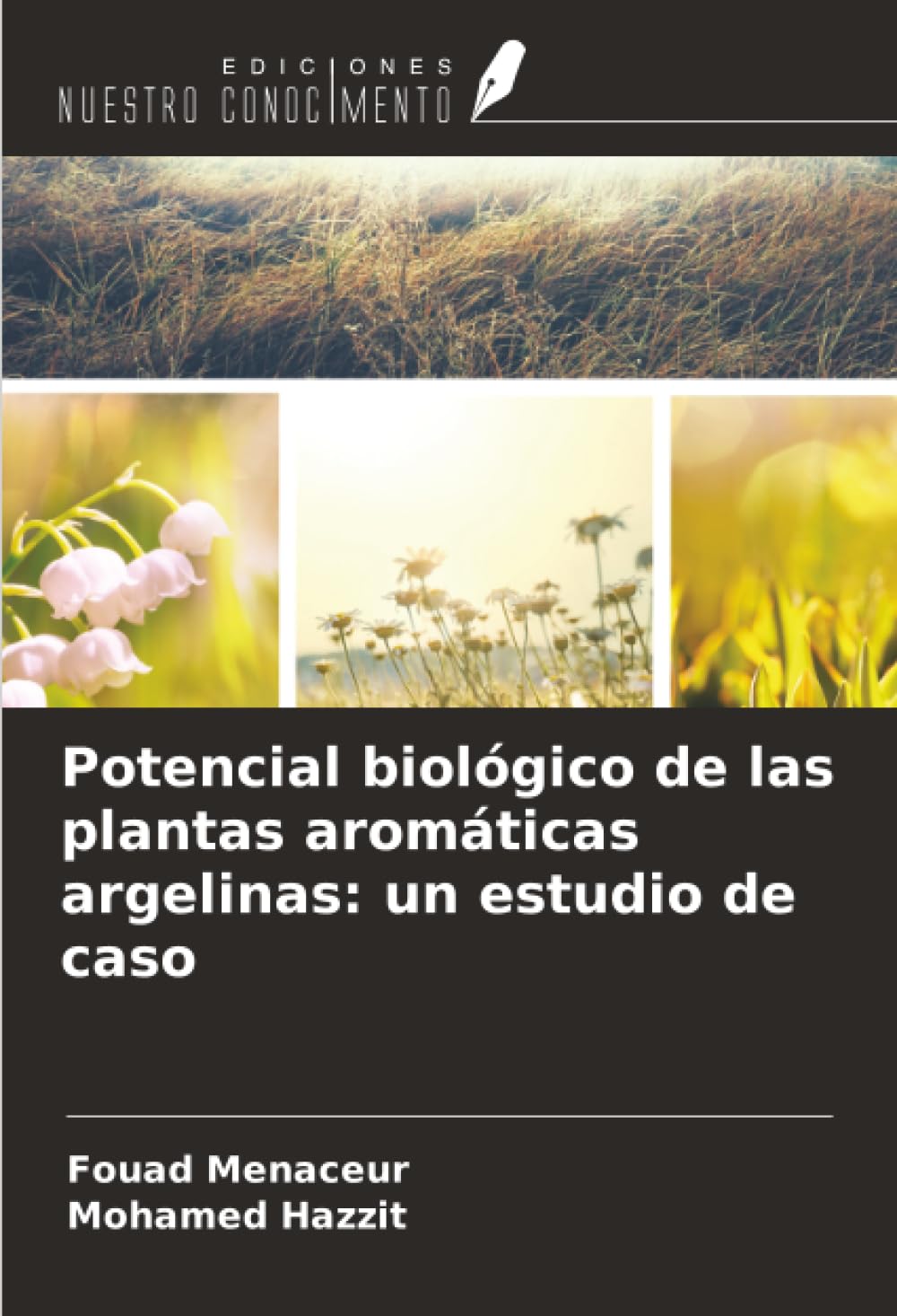 Potencial biológico de las plantas aromáticas argelinas: un estudio de caso