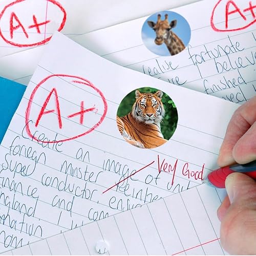 Miniatura 7 de Hohamn 600 calcomanías de animales de zoológico para niños, calcomanías redondas de animales de la selva de 1.5 pulgadas para niños y niñas, regalos