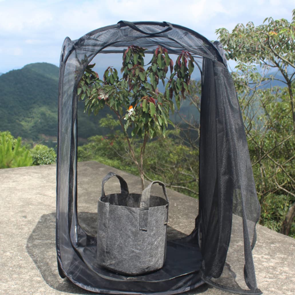 Habitat farfalla 15.8x15.8x23.6 pollici Net in gabbia di insetti trasparente con cerniera e maniglia HABAT FARFFIA ILRAR PORTATY ILR per allevare gli insetti, stile2