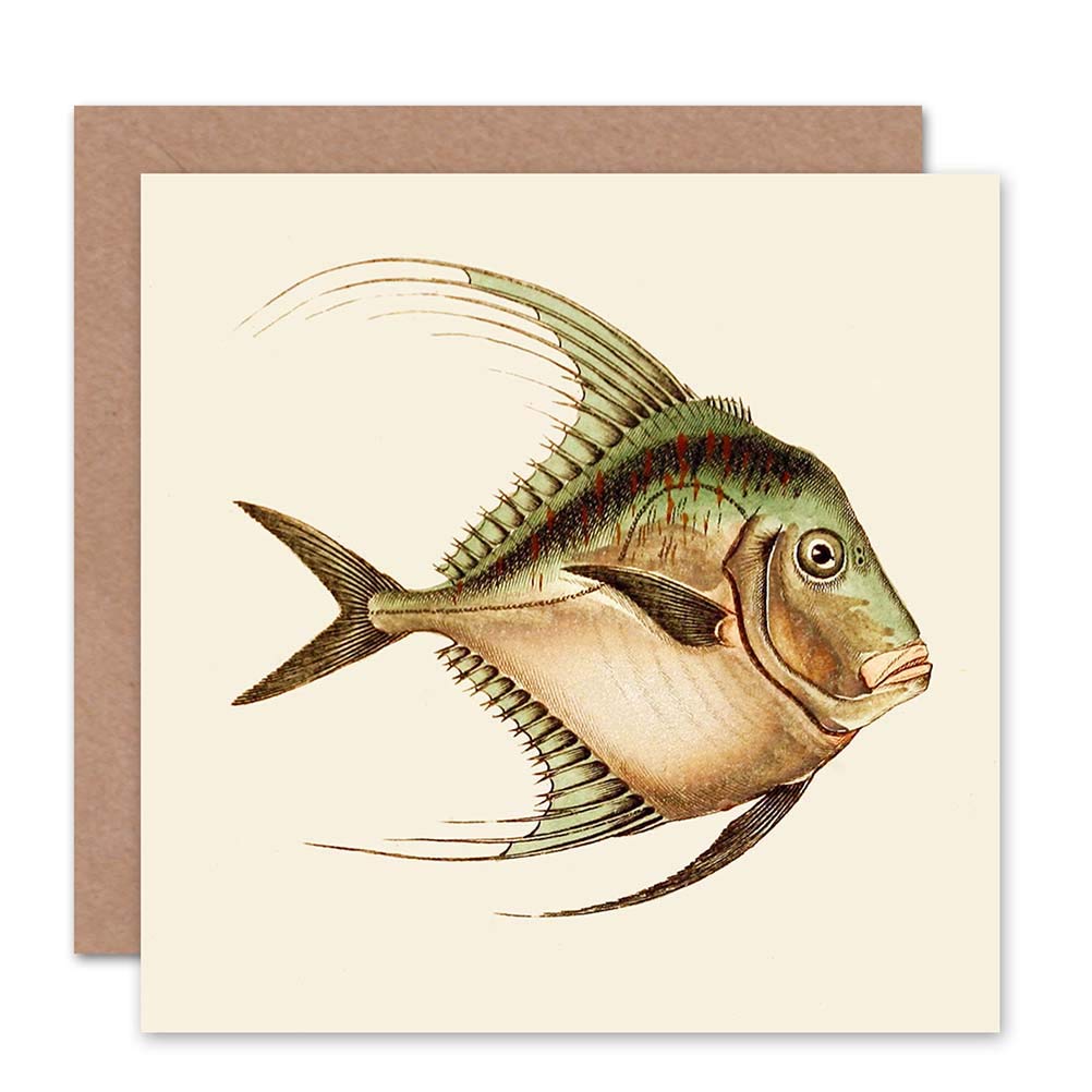 Wee Blue Coo CARD GREETING ANTIQUE FISH BLOCH PUGNOSE PONY GIFT