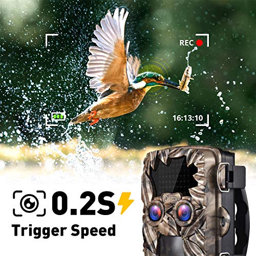 Trail Camera - Game Camera Dual-Lens Night Vision Motion Activated 4K 20MP Hunting Cam Waterproof IP66 W/ 2.4" Color Screen 0.2 s Trigger Speed for Outdoor Wildlife Monitoring Deer Scouting