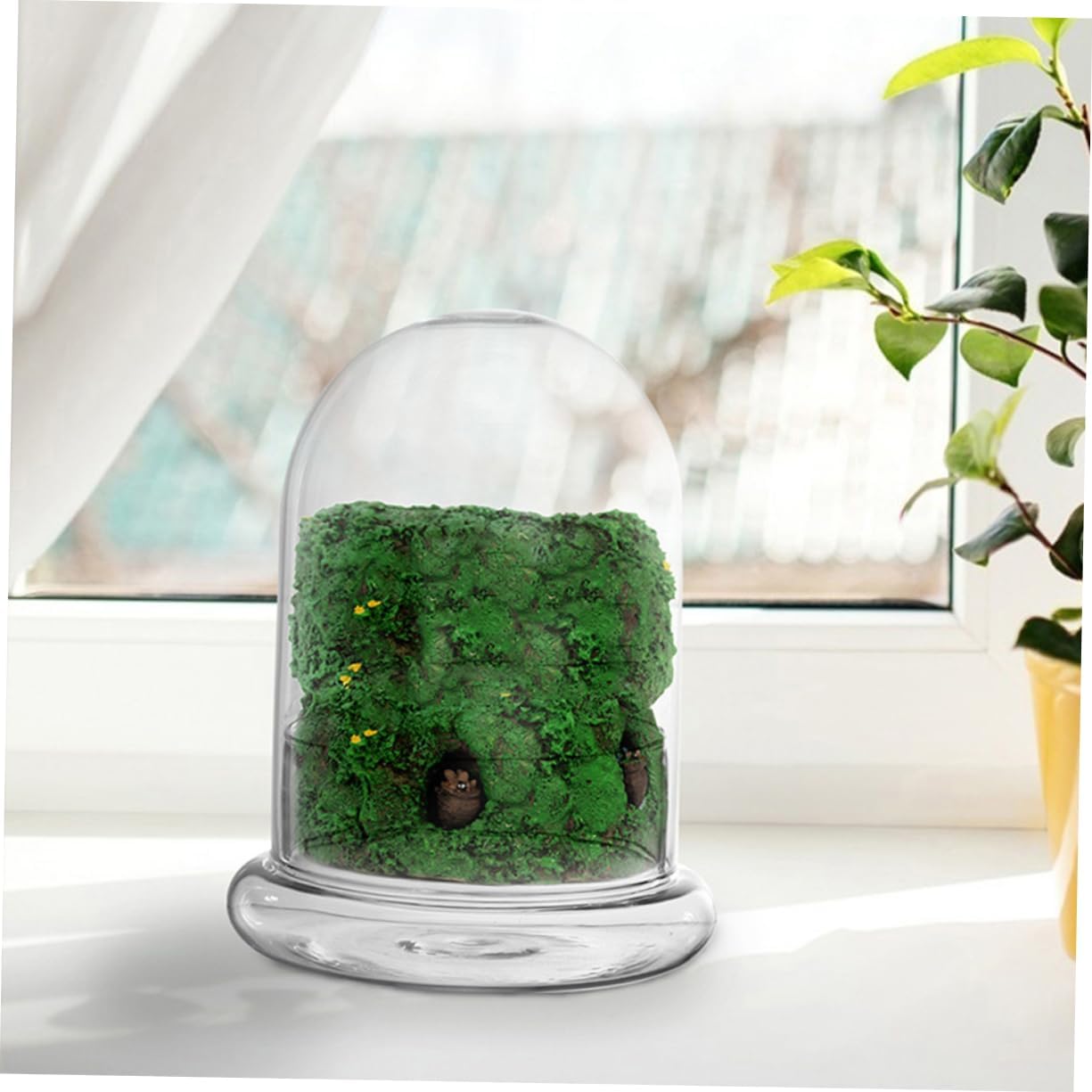 2pcs Glass Terrarium Planter with Lid Eco-Friendly Micro Landscaping Container for DIY Plants Lightweight and Durable Decorative Glass Bottles