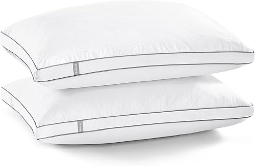BEDSURE Juego de 2 almohadas de plumas de ganso tamaño Queen almohadas de plumón de ganso blanco natural para dormir 100 algodón a prueba de plumón
