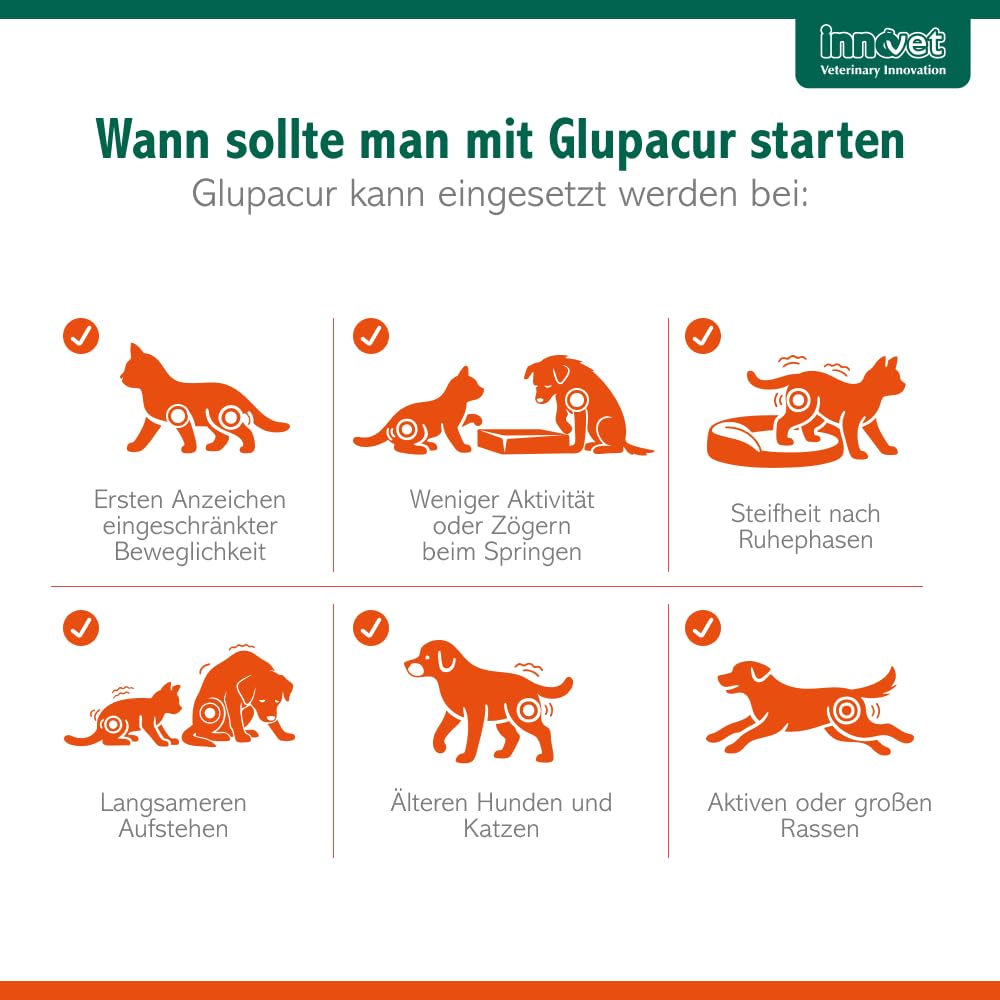 Glupacur Gelenktabletten für Hunde und Katzen jeden Alters, 200 Gelenktabletten Hund mit PGA (Glucosamin), Curcumin & Vitamin E, Gelenk Komplex für Katzen für Beweglichkeit und Lebensqualität