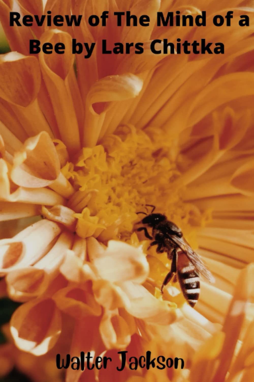 REVIEW OF THE MIND OF A BEE: by Lars Chittka