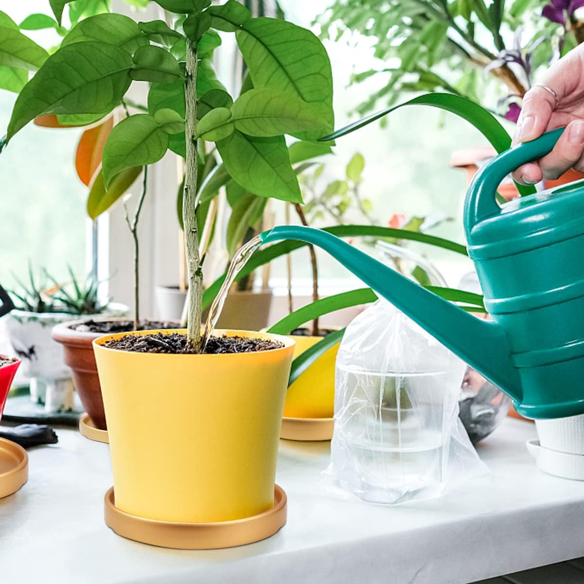 7 Inches Round Ceramic Plant Saucer Drip Tray Set of 2 for Indoor Small Flower Pots Home Garden Outdoor Flower Plant Pot,Gold Saucers