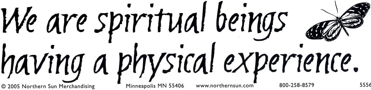 Northern Sun We are Spiritual Beings Having a Physical Experience – Spiritual Bumper Sticker/Decal (11.5" X 3")