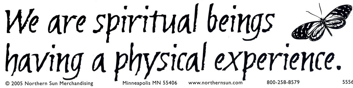 Northern Sun We are Spiritual Beings Having a Physical Experience – Spiritual Bumper Sticker/Decal (11.5" X 3")