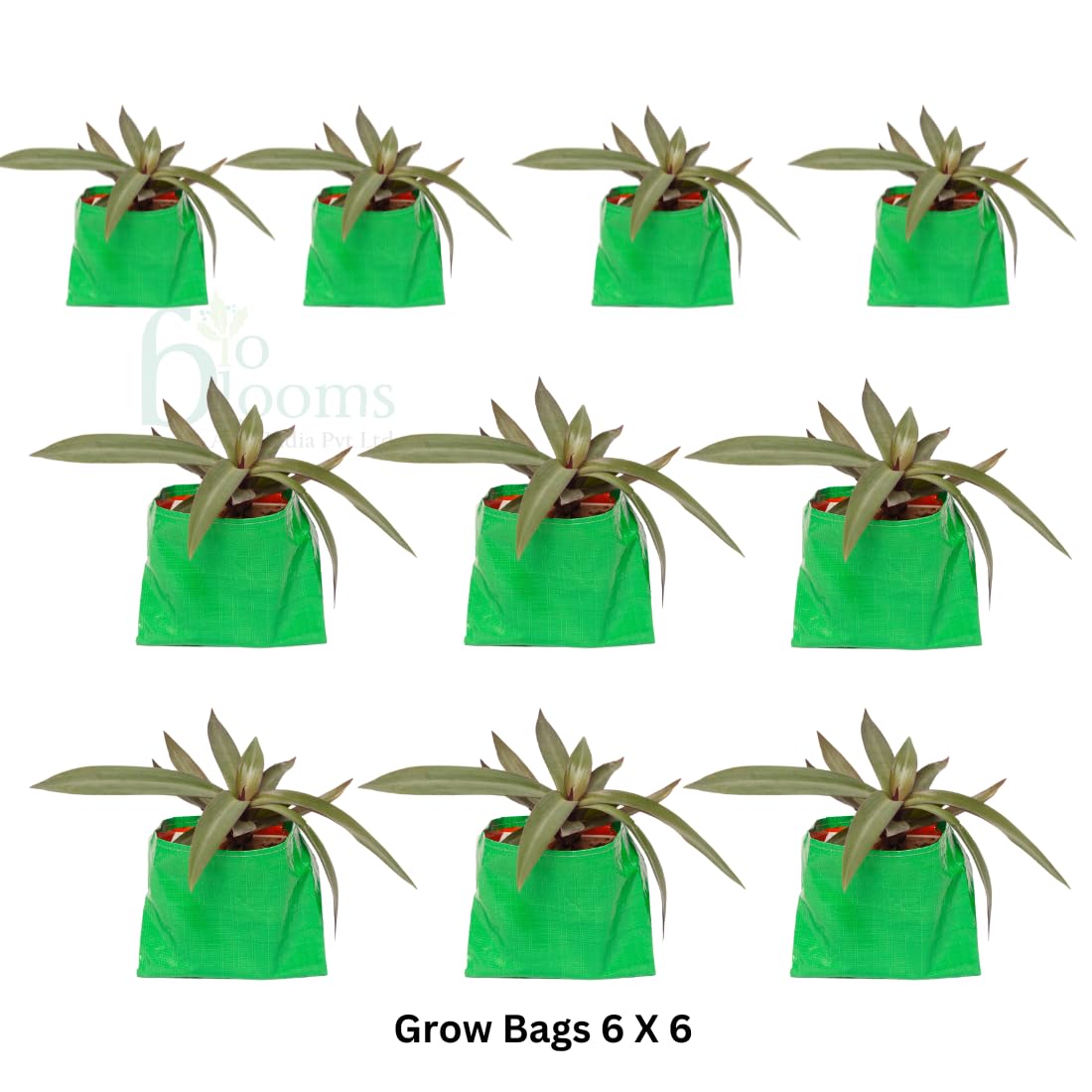 HDPE Plant Grow Bags - 6x6 Inch (Pack of 10) -3