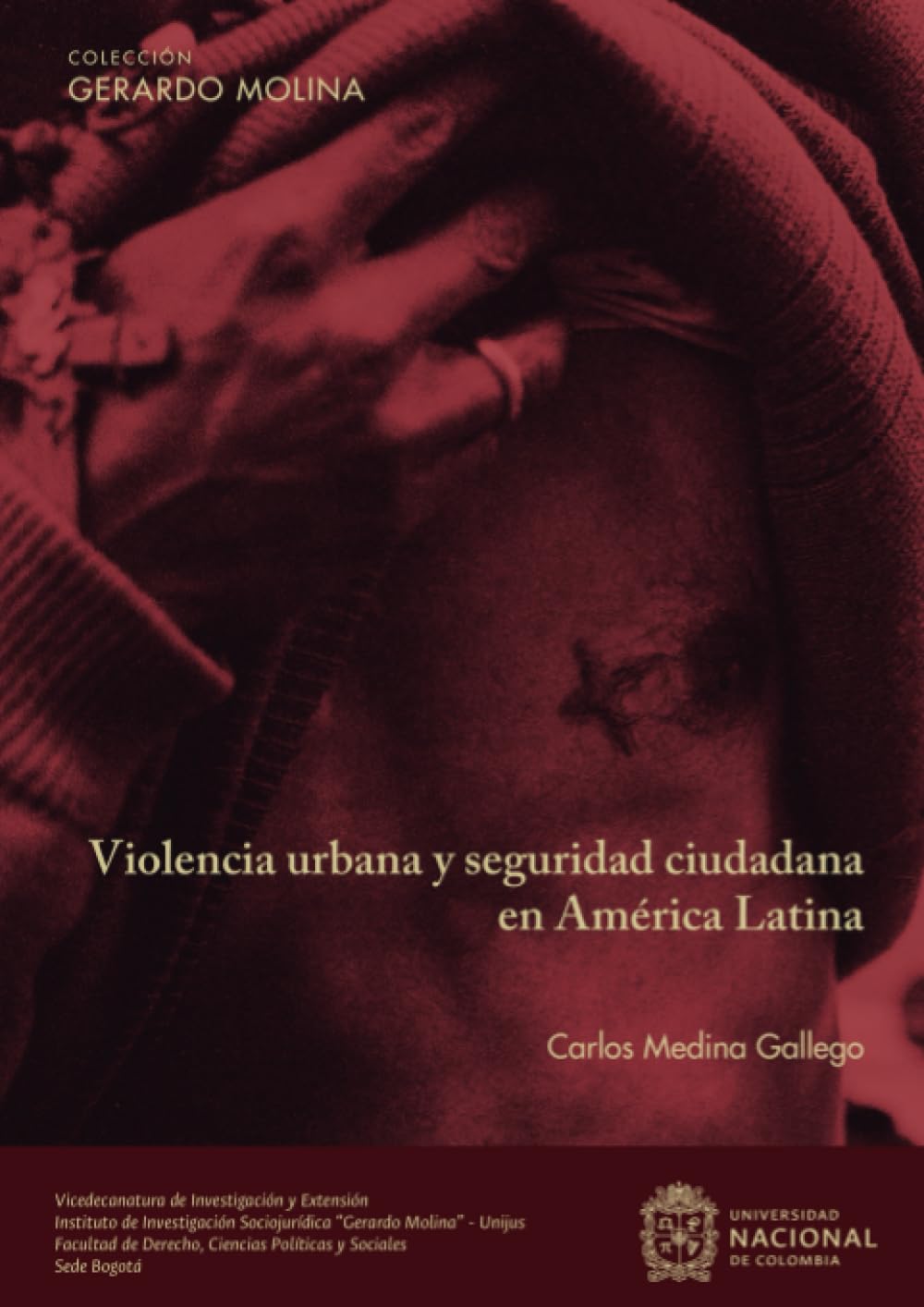Violencia urbana y seguridad ciudadana en América Latina