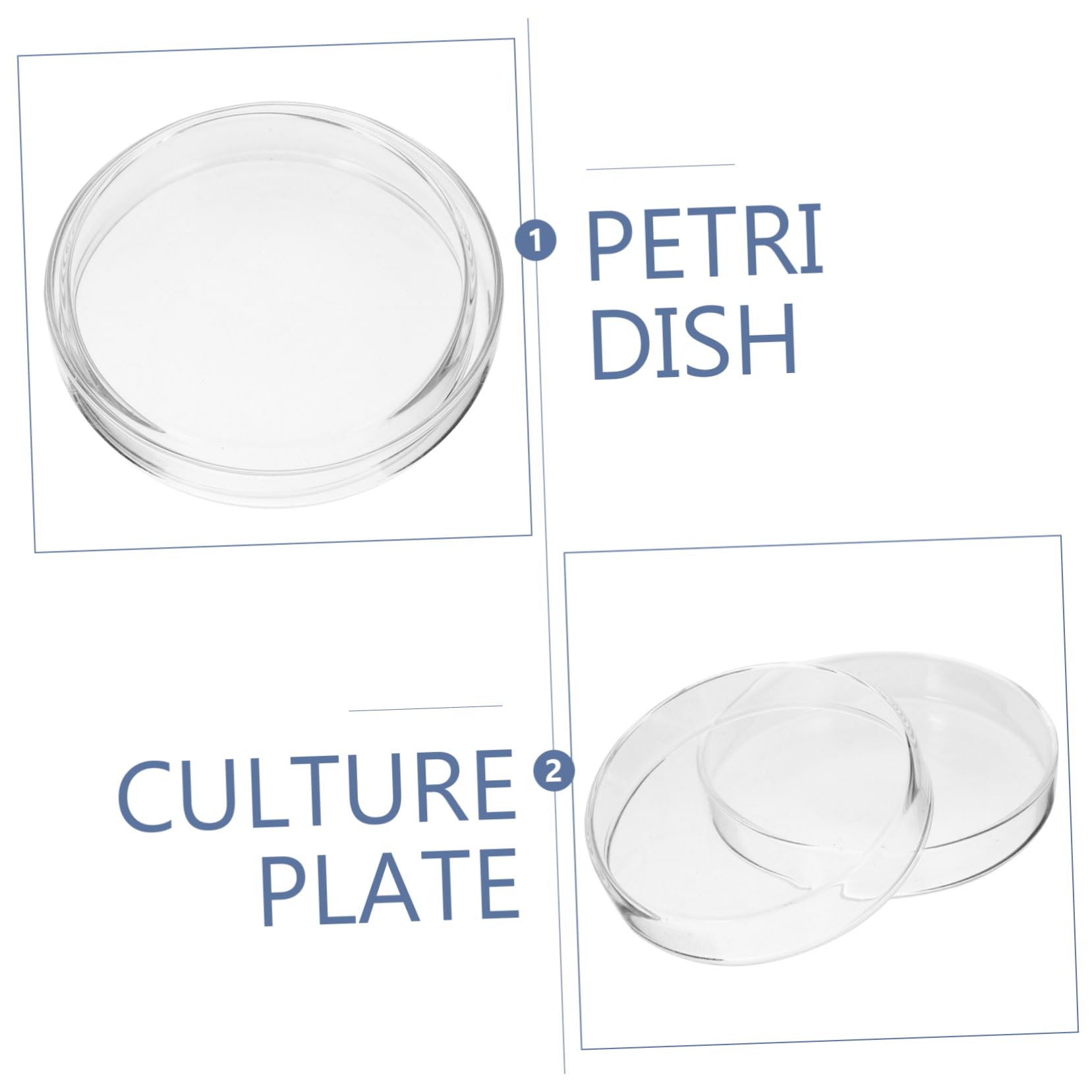 SOLUSTRE 15piezas Placas De De Transparentes Para De Dishes Redondos Resistentes Roturas Herramienta Para Experimentos Científicos y Docencia