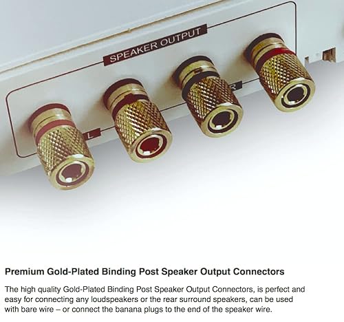 image for DYNASTY PROAUDIO WSA-5RP Wireless Surround Sound Rear Speakers Kit wit