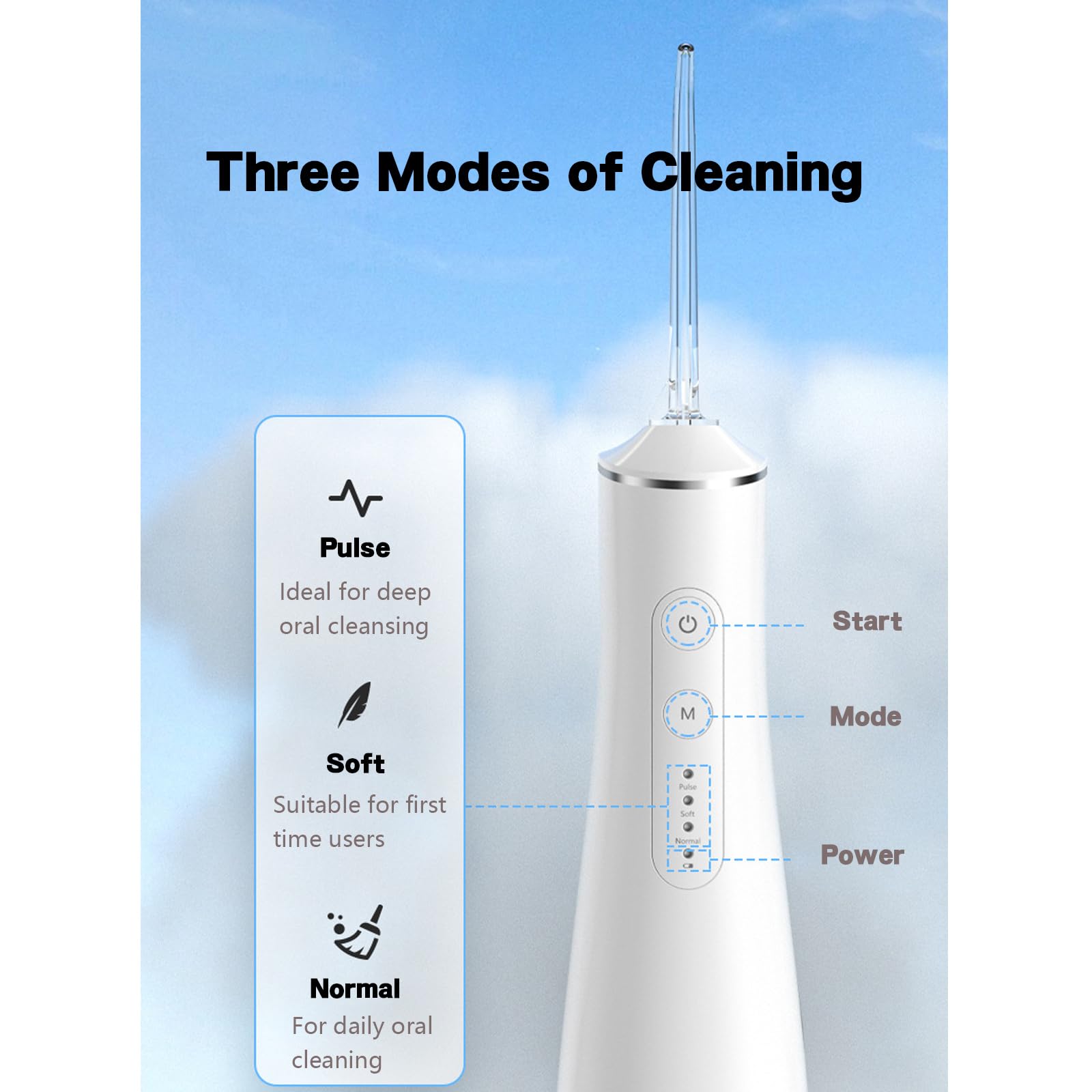 Irrigador Dental,Irrigador Bucal,IPX7 Resistente al Agua,Incluye 4 Boquillas Funcionales, 3 Modos de Presión de Agua,Usb Recargable,Hasta 30 Días de Uso,Capacidad Del Tanque de Agua 300ml (Black)