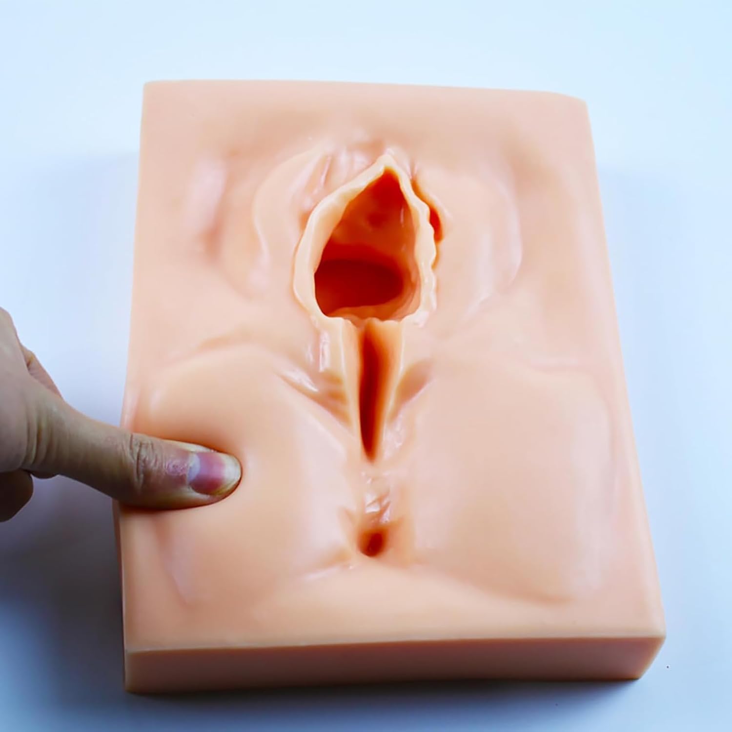 Modelo de Práctica de Sutura Vulvar, Modelo de Práctica de Sutura Perineal Con Incisión de Vulva Femenina (línea Media), Kit de Práctica de Sutura Reutilizable de Alto Aislamiento Suave Y Resistente