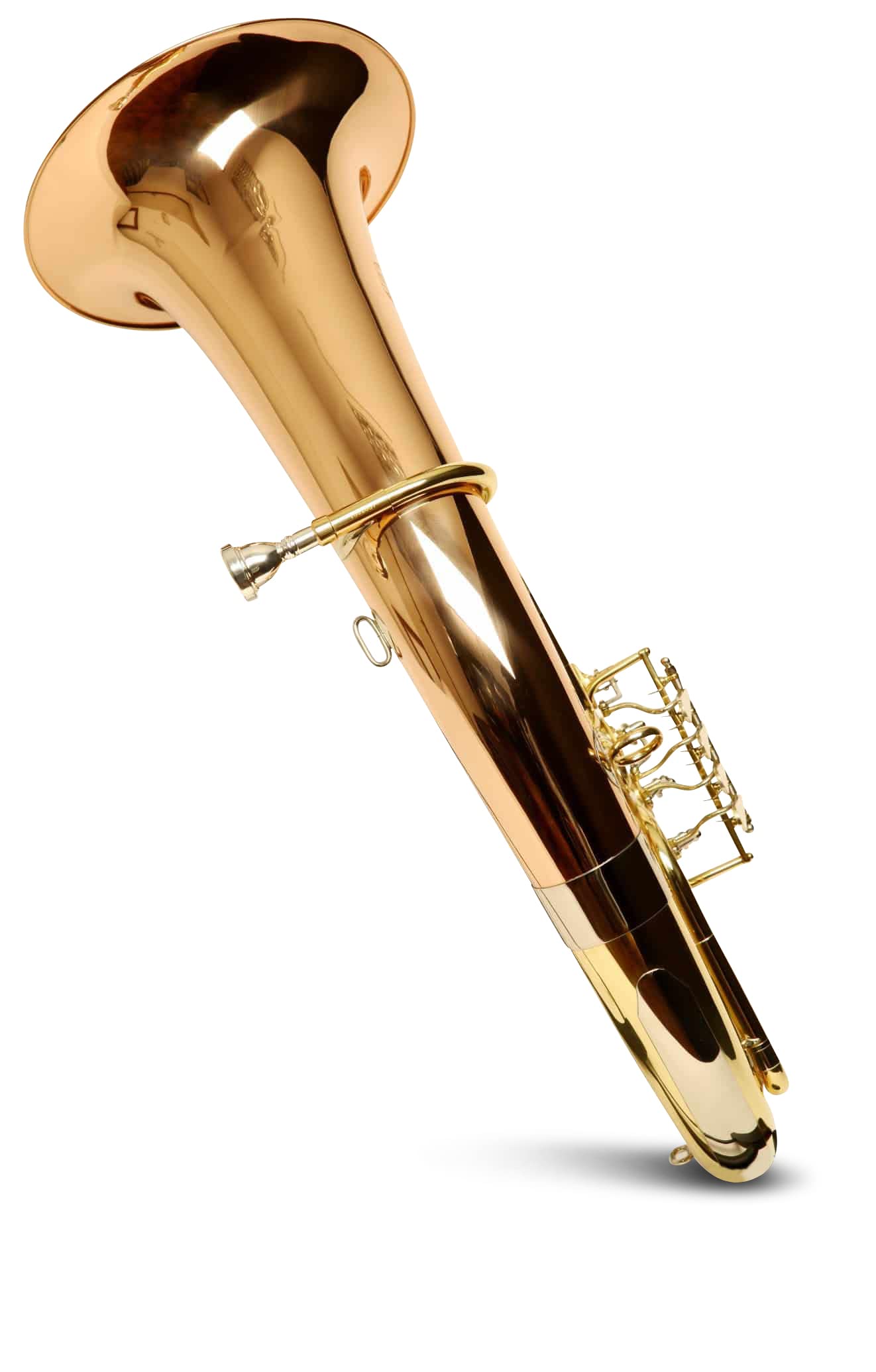 Bariton/Kaiserbariton in Goldmessing, 4 Ventile, Minibalgelenk, inkl. Luxus-Gig-Bag, Neu
