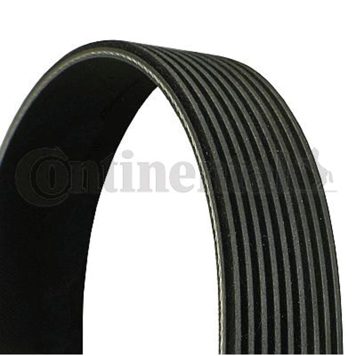 CONTITECH 9PK2871 Cinghia servizi