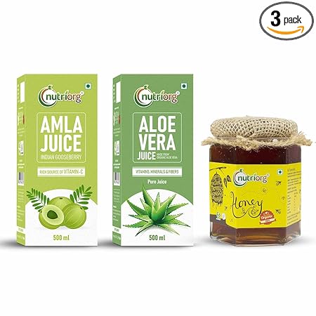 Nutriorg Amla & Aloe Vera Juice With Organic Honey 250g (Combo of 3) | Immunity Booster | Detox Juice