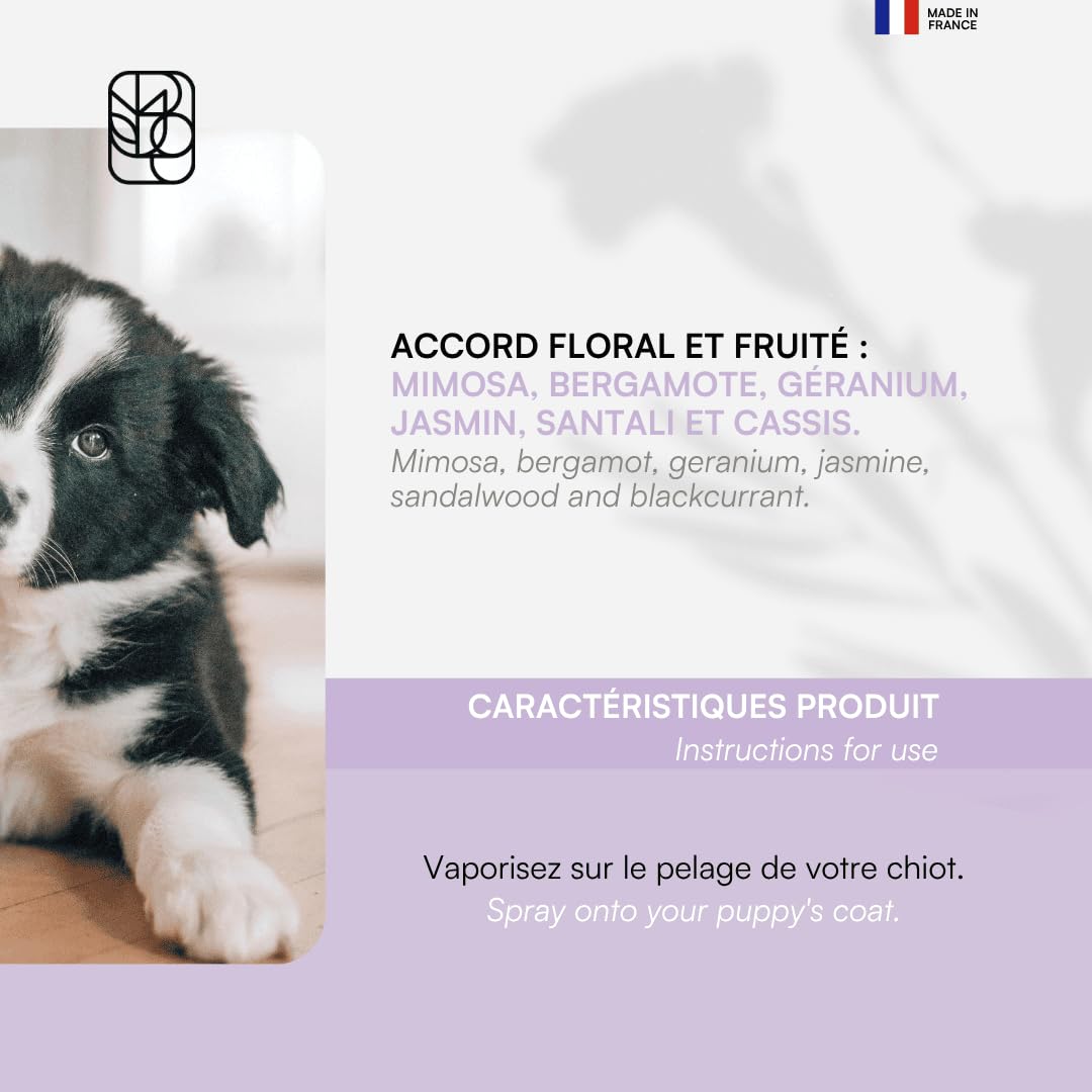 BIOGANCE - parfum Parisian sans alcool