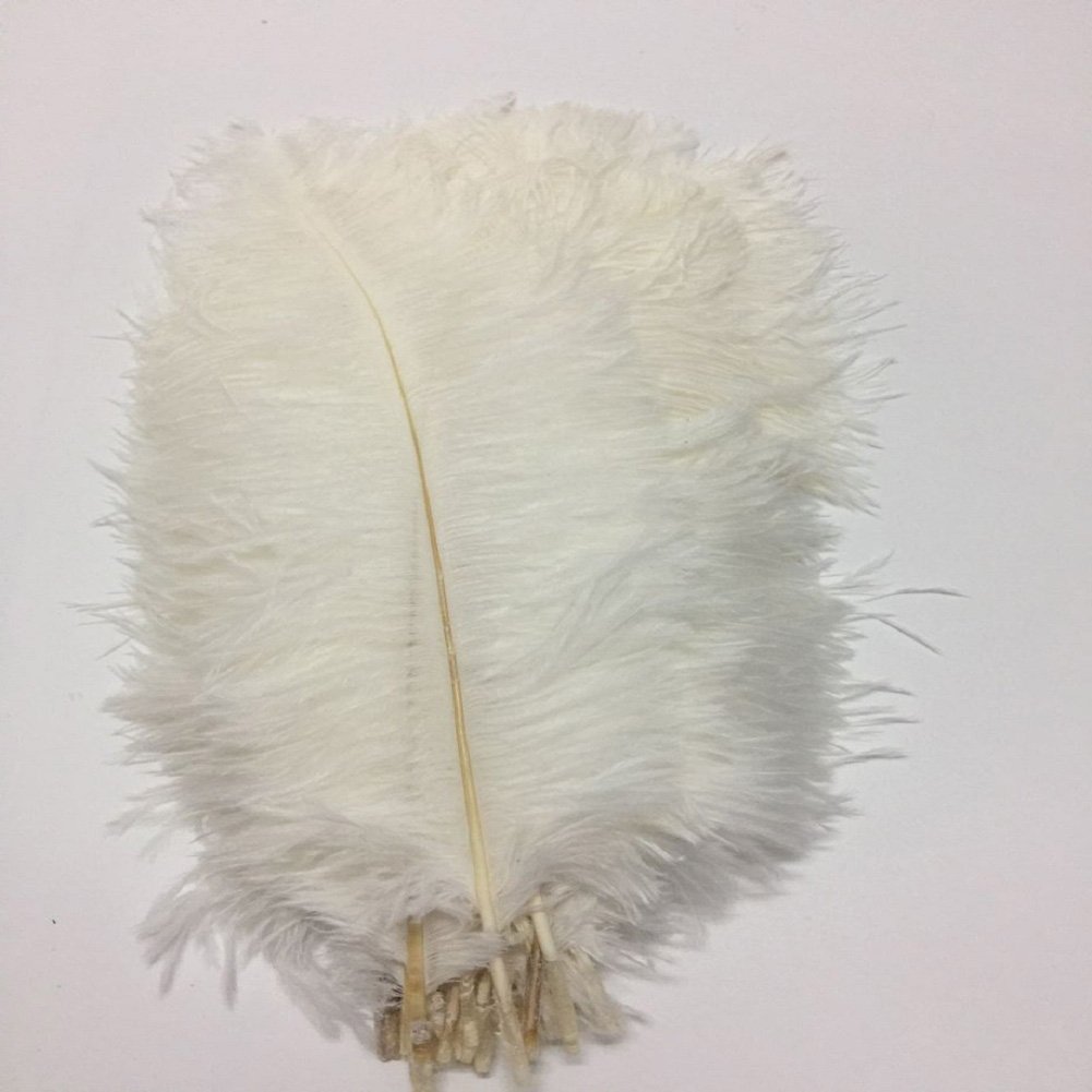 XZEN 11.5"-13.5" Ostrich Feather Plume Decoration DIY Craft Pack of 100PCS (White)