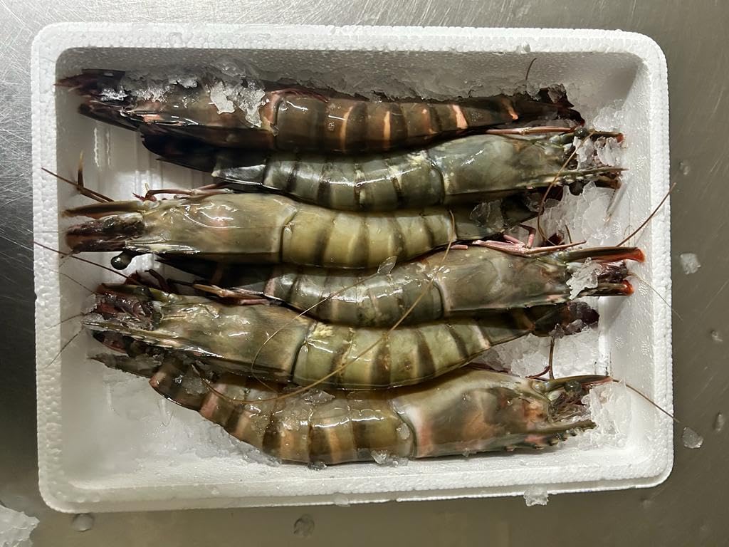 Langostino Yumbo congelado - 4-6 piezas por kg. Estuche de 2 kgs.