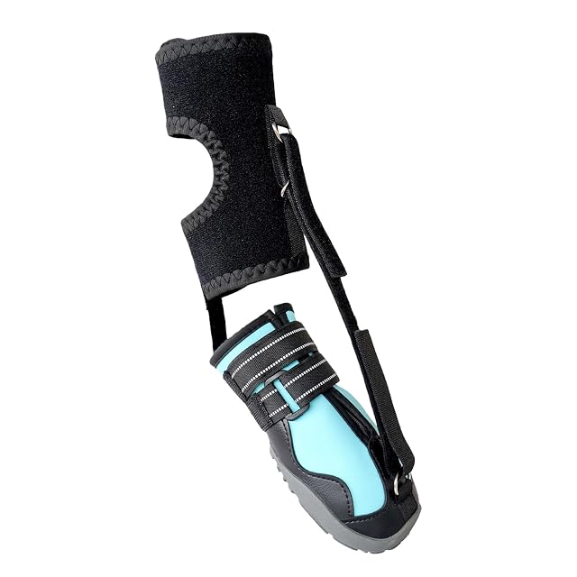 Zapatos correctivos para perros Pitadue con carrete para arrastrar las patas