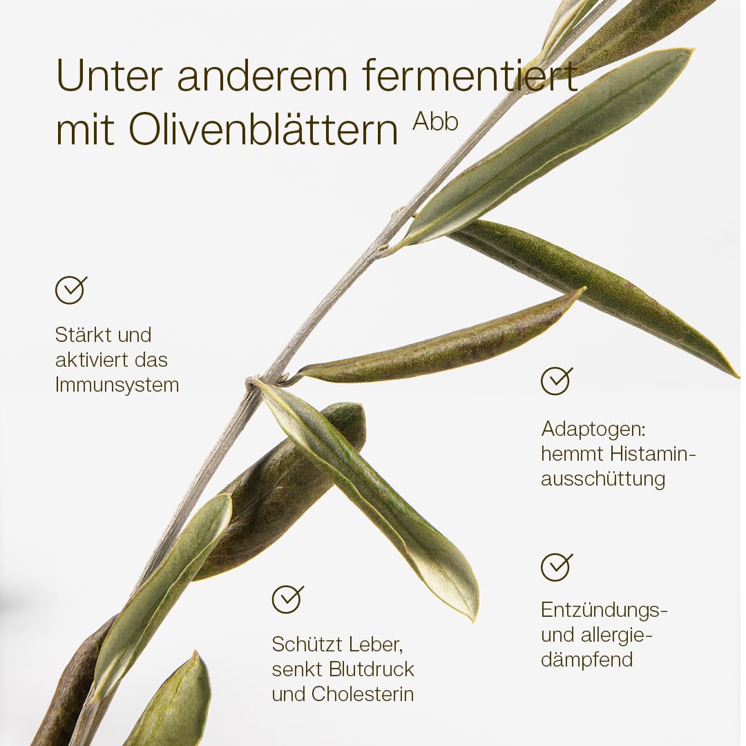 MikroVeda Life+ Bio Enzymfermentgetränk 1l, 35 Bakterienstämme, 20 fermentierte Kräuter & Pflanzen, super-aktiviert, hoch zellverfügbar, bioverfügbar, vegan, roh, Deutscher zertifizierter Hersteller