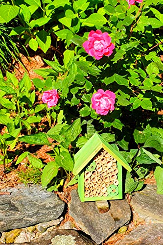 Cestari Bamboo Tube Bee Hotel