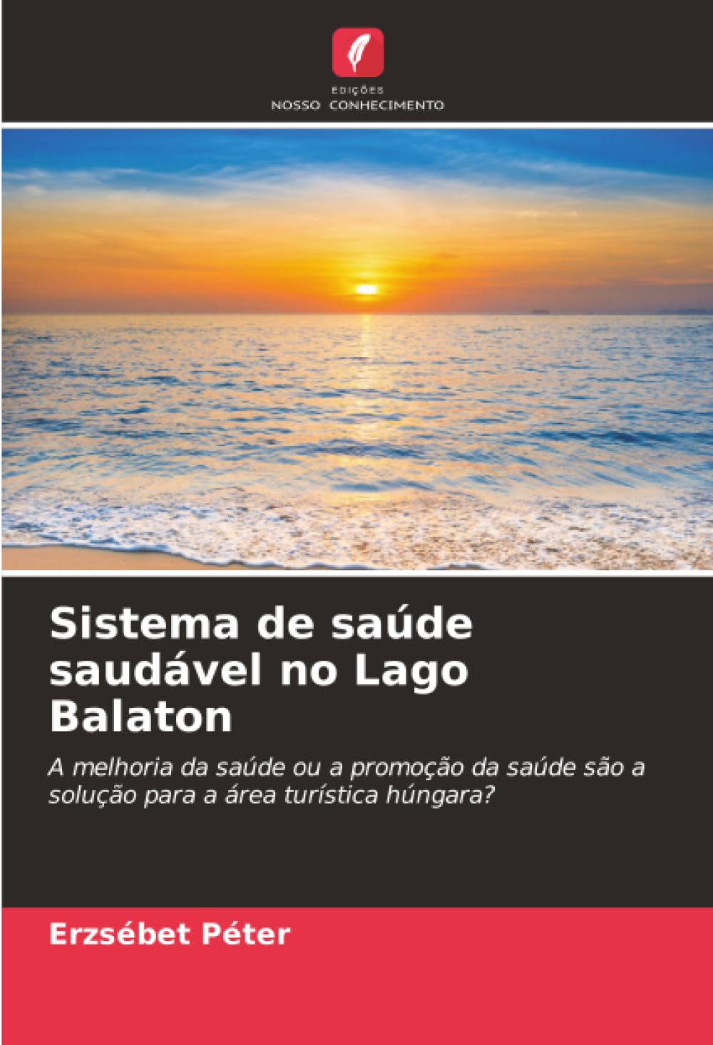 Sistema de saúde saudável no Lago Balaton: A melhoria da saúde ou a promoção da saúde são a solução para a área turística húngara?