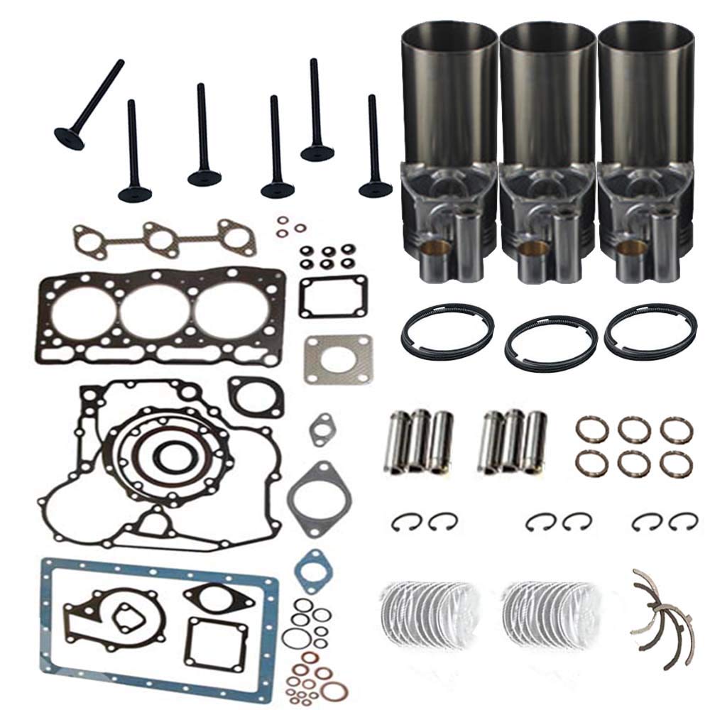 Buy Rebuild Kit with Liner Sleeves for Kubota D1005 Engine B21 B2100DT