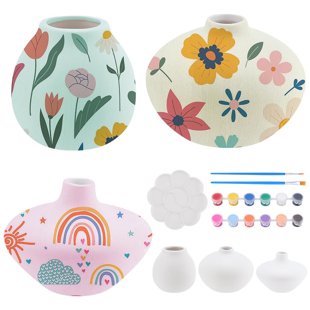 WEBEEDY Juego de 3 jarrones de cerámica para adultos, jarrones de cerámica, artesanías, juego de pintura para el hogar para pintar tus propios jarrones de porcelana, macetas artesanales para