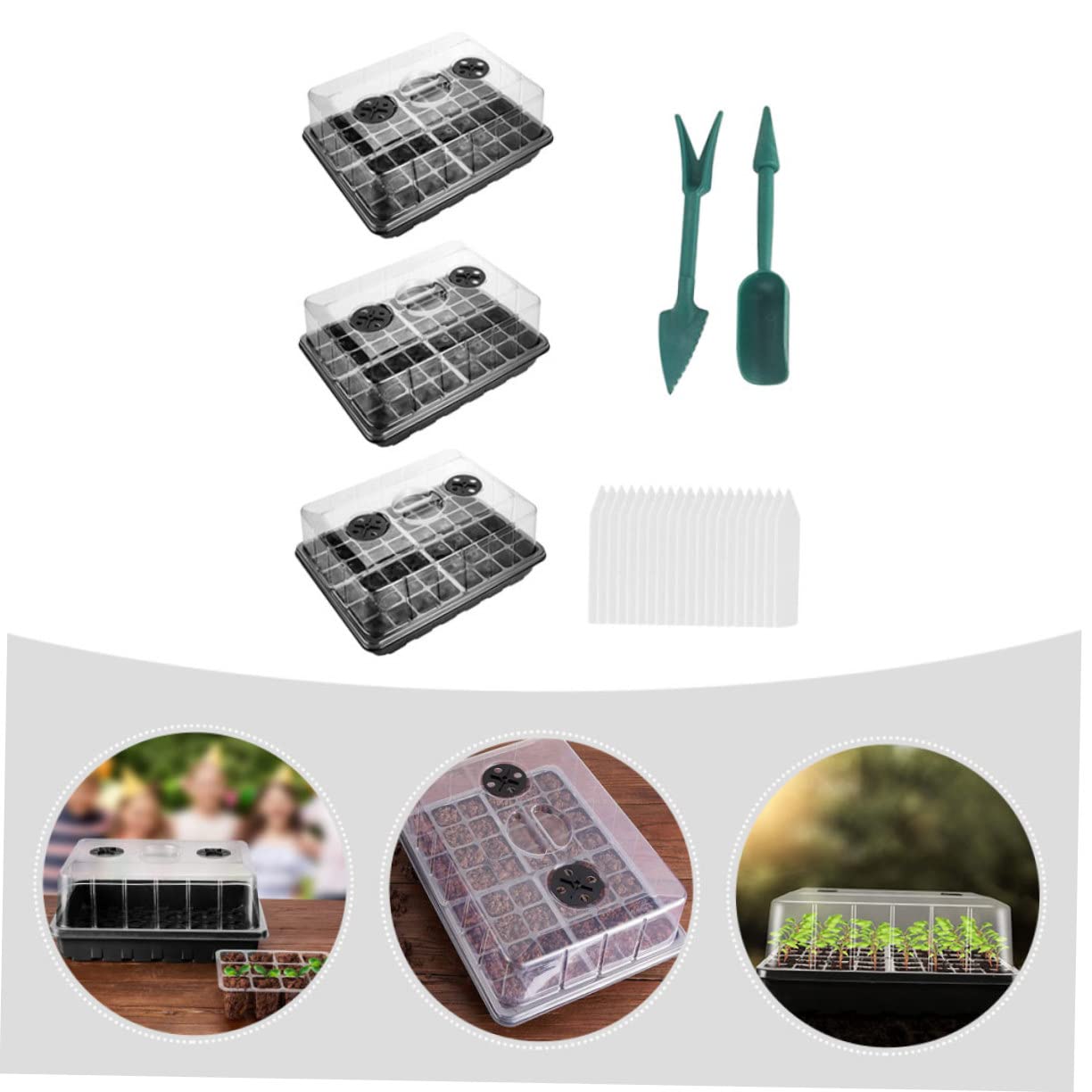 GALPADA Boîte de Croissance pour Plantes PP, 1 Lot, Surface Lisse