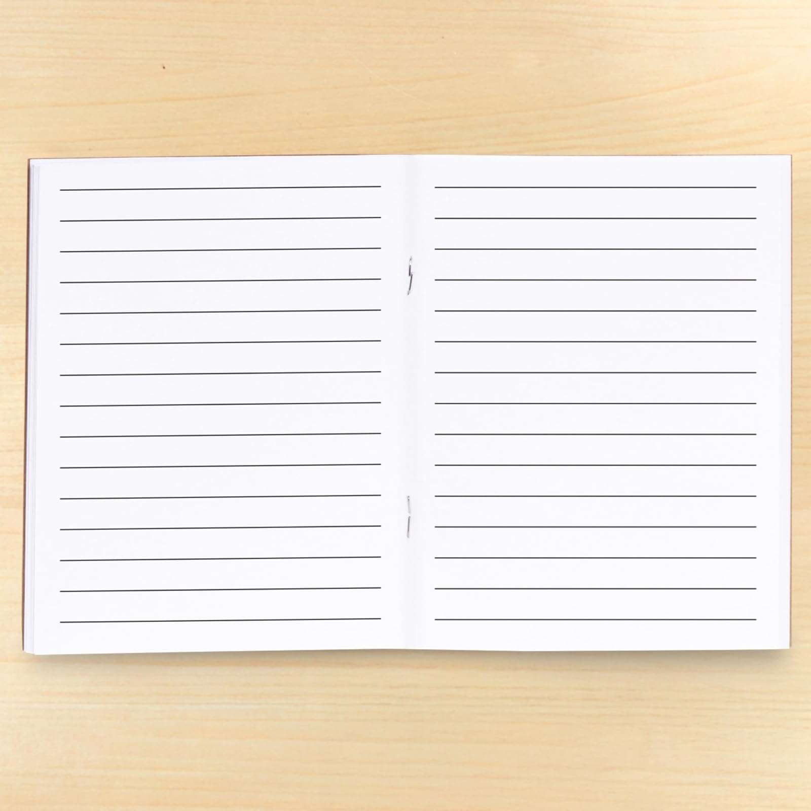 Paper Junkie Quaderni Bulk, 48 pagine a righe, 10,2 x 15,2 cm, mini diari per scrittura, disegno, scarabocchiare, regali per studenti, apprezzamento degli insegnanti, forniture per classe, set di